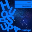 DJ IC - SEASONS CHANGE (Original Mix)