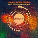 Sharon Graziani - We Are The People