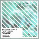 Rick Pier O\'Neil, David Weed - Cenote (Acabus Remix)