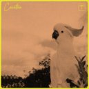 Alt Control - Cacatua