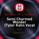 Dan Sieg X Third Eye Blind - Semi Charmed Wonder