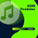 Minjah - Groovy Bundle Of Joy (Original Mix)