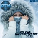 Djs Vibe - The Perffect Mix 2023 (DNDM)