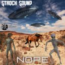 Strock Sound - Madness In The Woods ()
