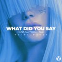 Hugo Cantarra, Taim - What Did You Say