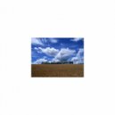 Sleep BGM Mindfulness - Sleep BGM Descartes and Coping skills