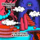 FORASTERO (MX) & Wermoont - Blessing You