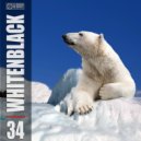 DJ Egorsky (Electronic Sound) - WhiteNBlack ver.34 (2022) (Mixed)