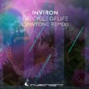 INVIRON - The Cycle of Life (DaWTone Remix)