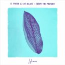 El Puffin & Lofi Beats - Enjoy The Present (Original Mix)