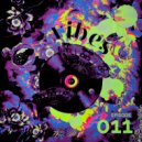 Kiwistage Radio - VIBES PODCAST: 011 ()