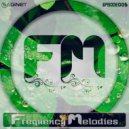 Saginet - Frequency Melodies 005 ()