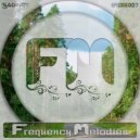 Saginet - Frequency Melodies 007 ()