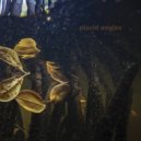 Placid Angles - When The Sun Shines Through