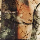 Shlomi Aber - Penetrate The System