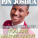 Pjn Joshua - You Are Marvelousye (Original Mix)