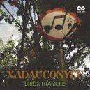 BRIL, TRAMEEE - XaDauConYeu (Original Mix)