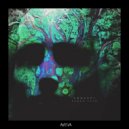 Roman Adam - Concept