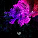 Sasha Carassi, Davide Famularo - Fotosintetica (Original Mix)
