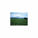 Sleep BGM Mindfulness - Sleep BGM Fireworks and Contingency map (Sleep BGM)