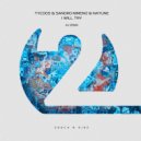 Tycoos & Sandro Mireno with Natune - I Will Try (AV Extended Mix)