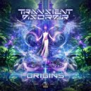 Transient Disorder - Quantum Fields (Original Mix)