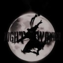VXNYLE - NIGHT WANDER (Slowed)