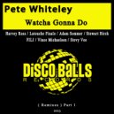 Pete Whiteley - Watcha Gonna Do (Stevy Vee Remix)