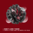 Loerty, Idge and the Bees, hi yeah - Don\'t Look There (Original Mix)