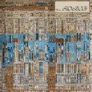 Hauy - Mycelium