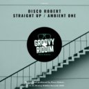 Disco Robert - Ambient One