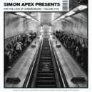 Simon Apex & Lostboy Featuring Queen B - Need Your Love