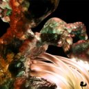 Dist & Zisko - Speed of Harmonics