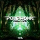 Poliphonic - Manduká (Original Mix)