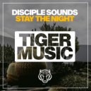 Disciple Sounds - Stay The Night (Original Mix)