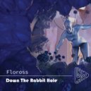 Floross - Down The Rabbit Hole
