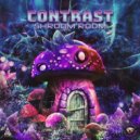 Contrast - I Like To Talk
