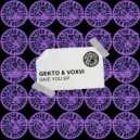 Gekto & Voxvi - Give You