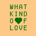 Discosteps - What Kind Of Love