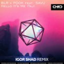 BLR x POOK feat. SAVU - Hello It\'s Me (Taj) (Igor Shad Radio Edit)