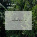 Solidsown - Love 2.0