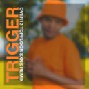 Over12, Dj Karri - Trigger