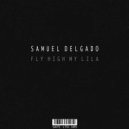 Samuel Delgado - Make Me Feel Sometihing (Original Mix)