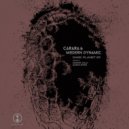 Carara, Modern Dynamic - Forget the World (Part 2) (Original Mix)