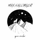 Max Hallinger - Number things