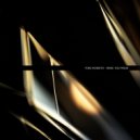 Toru Ikemoto - %060 (Bryan Brack Remix)