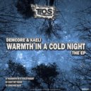 Demcore & Kaeli - Warmth In A Cold Night (Original Mix)
