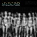 Shahrokh Dini, Illinois - Inner Core For Love