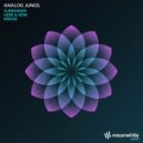 Analog Jungs - Surrender
