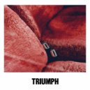 Agency - TRIUMPH (BEATNIK REMIX)